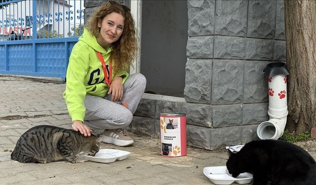 Pelin öğretmen 11 yıldır "çocuklarım" dediği kedileri besliyor