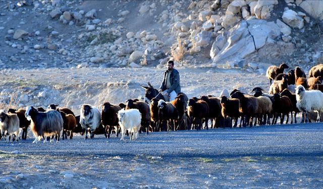 Kars yaylalarındaki göçerlerin dönüş yolculuğu devam ediyor