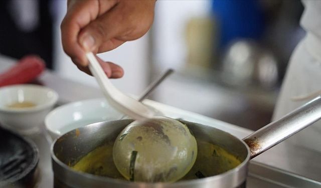 Kontrolsüz toplanan bitkiler ve toplu yemeklerdeki sağlıksız gıdalar zehirlenme riskini artırıyor