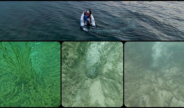 Sapanca Gölü'nde oluşan kabarcıkların su kalitesine zarar vermediği belirlendi