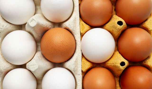 CHP’li Ün: Yumurta fiyatları üretimin düşmesinden dolayı artacak