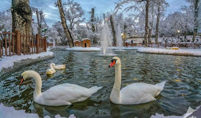 Ankaralılar hafta sonu donacak