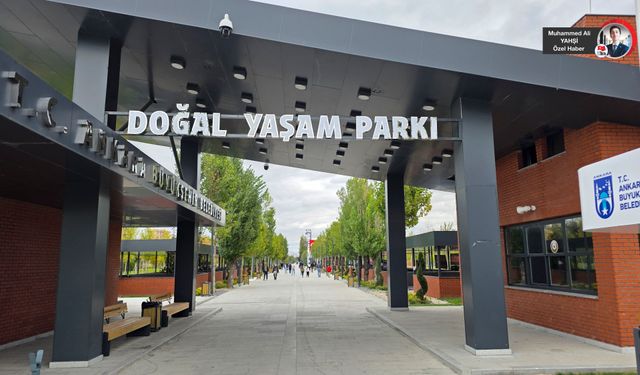 Başkentliler şehrin merkezinde doğal yaşamla buluşuyor