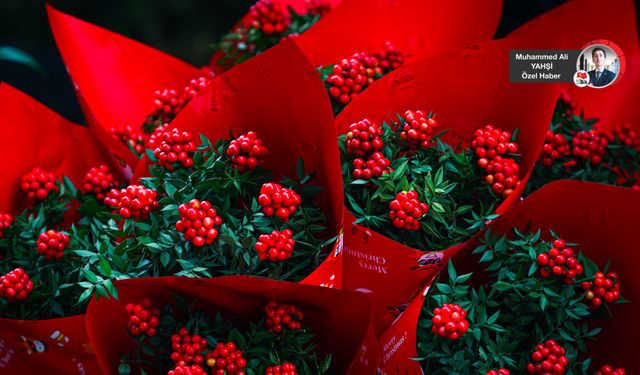 Yılbaşının Uğur Simgesi: Kokina