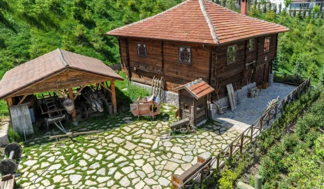 Ankara’da doğal yaşamla iç içe kültür yolculuğu: Altınköy Açık Hava Müzesi