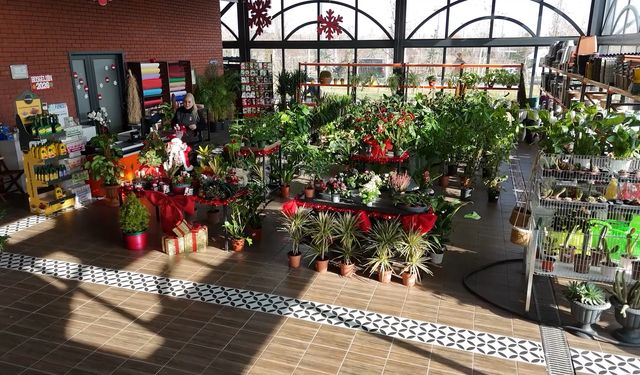 Yeni yılın renkleri ABB bitki evlerinde vatandaşla buluşuyor