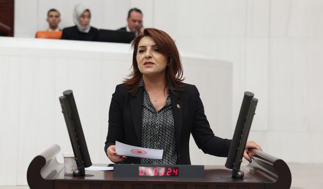 Gülcan Kış: Bu masa meşru değil, 39 bin liranın altı sefalet ücretidir