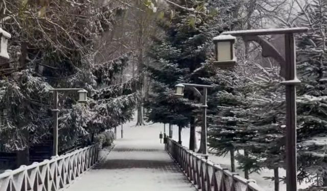 Ordu’nun yüksekleri beyaza büründü