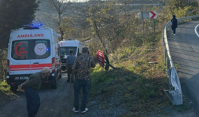 Otomobil fındık bahçesine uçtu; anne ve kızı yaralandı