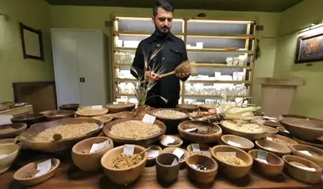 Bilim köye taşındı: 12 bin yıllık miras Iza buğdayının serüveni Mengen’de anlatıldı