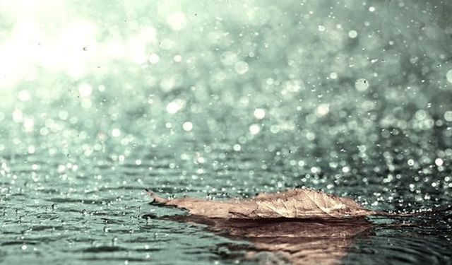 Rüyada Su, Sel ve Yağmur Görmek Ne Anlama Gelir?  Rüya Yorumları