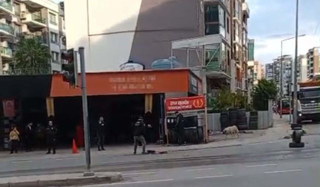 Sürücüsünün geri manevra yaptığı kamyonetin çarptığı Nisanur, öldü