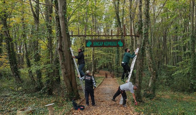 Ormanda sincaplar için köprü yaptılar