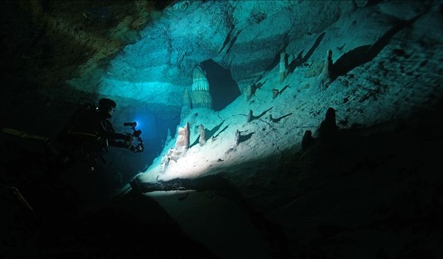Doğu Akdeniz'in derinliklerine inen dalgıçlar canlıların renkli dünyasını görüntüledi