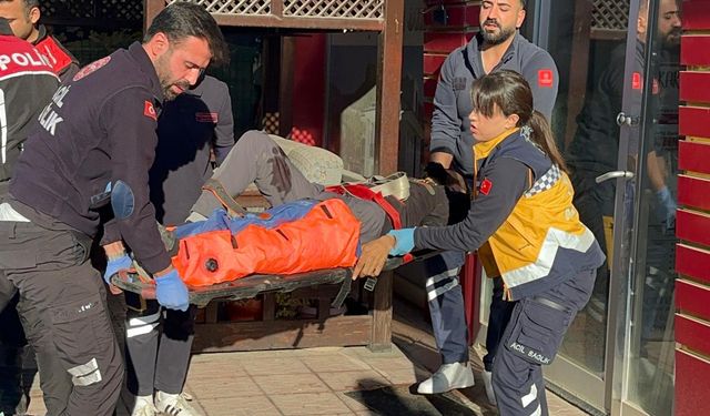 Veterineri tabanca ile vurup, kaçtılar