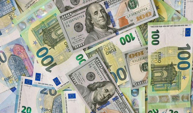 Döviz piyasasında hareketlilik sürüyor