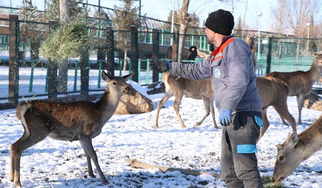 Hayvanat bahçesindeki canlılara ‘kış rasyonu’