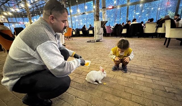 Kedinin ağzından kurtarılan tavşan "Tombiş" kafenin maskotu oldu