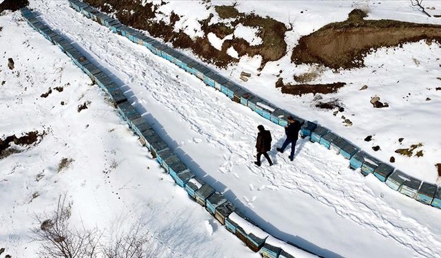 Depremden etkilenen Elazığ'da arıcı ve besiciler yaralarını devlet desteğiyle sardı