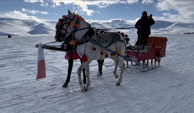 Yüzeyinin tamamı donan Çıldır Gölü'nde hafta sonu yoğunluğu yaşanıyor