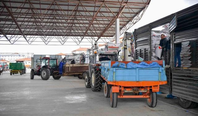 Başkentli üreticiye 1 milyon 500 bin kilogram nohut tohumu desteği