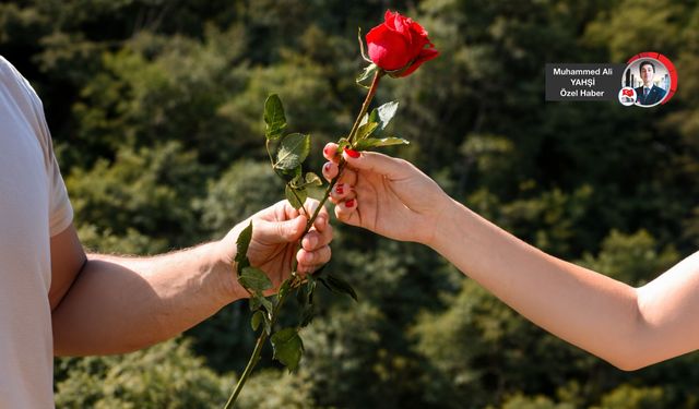 Sevgililer Günü’nde çiçek fiyatları cep yakıyor