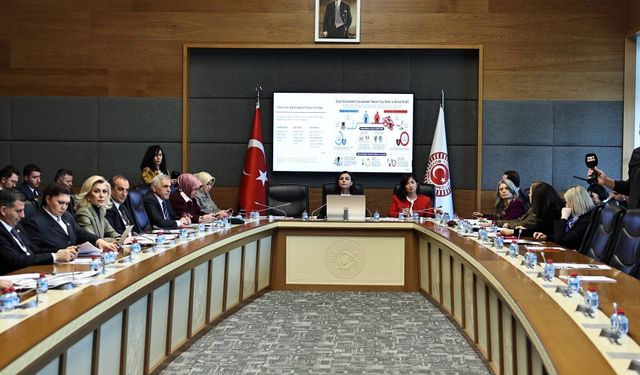 TBMM Suça Sürüklenen Çocuklara İlişkin Araştırma Komisyonu toplandı