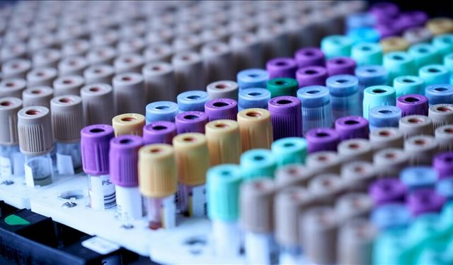 Evcil kedilerdeki kanser araştırmalarının, insanların tedavisinde umut olabileceği bildirildi