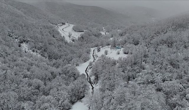 Tekirdağ'da karla kaplanan ormanlar güzel görüntü oluşturdu