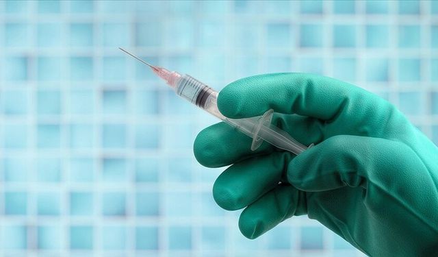 İstanbul'da 2025'te kuduz riskli temas nedeniyle yaklaşık 124 bin kişi hastanelere başvurdu