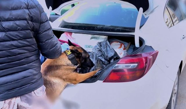 73 ilde uyuşturucu operasyonu; 475 tutuklama