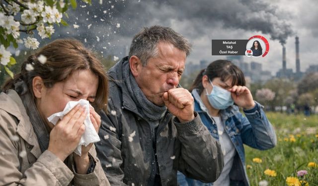 Hava kirliliği arttıkça alerji artıyor