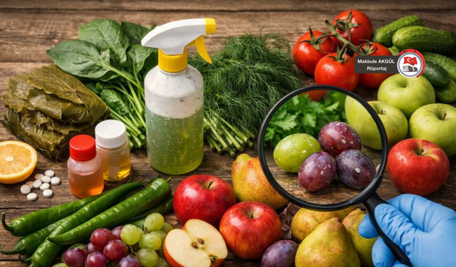 “Yılda 420 bin kişi güvenli olmayan gıdalar nedeniyle ölüyor”