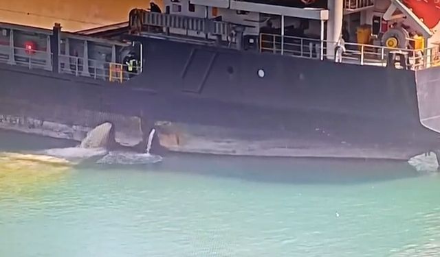 Denizi kirleten gemiye 13 milyon 187 bin 913 TL ceza