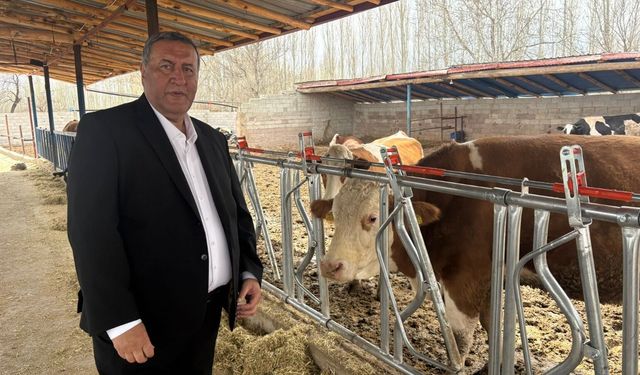 Gürer: “Artan maliyetler süt üreticisini bitiriyor”