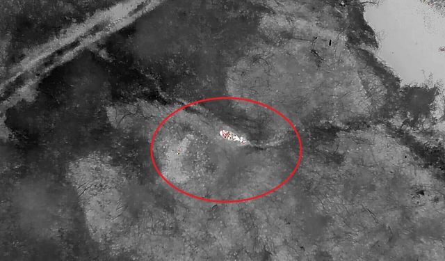 Kaybolan gebe inek, doğum yapmış halde AFAD ekiplerince bulundu