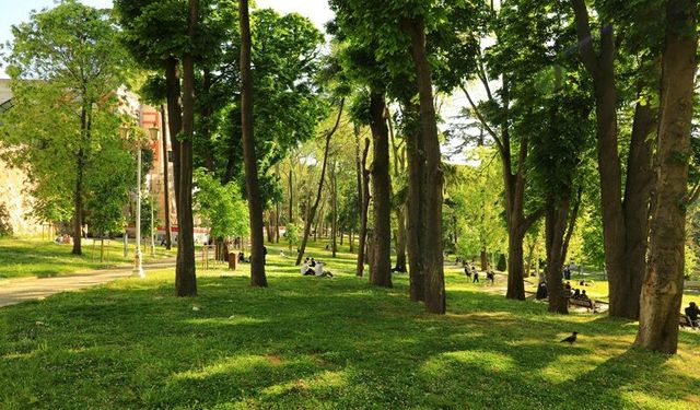 Ankara'da bahar rotası: Nereye gitmeli?