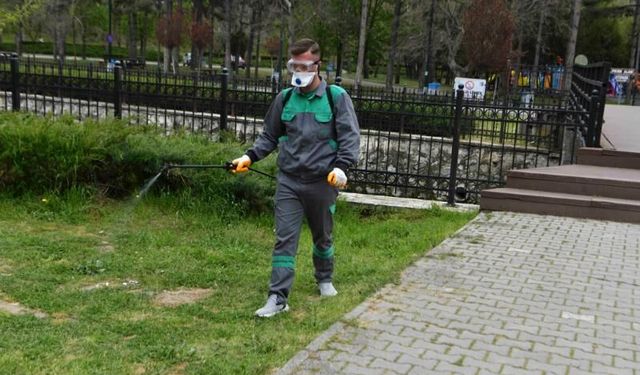 Başkentte vektör ve haşerelere geçit yok