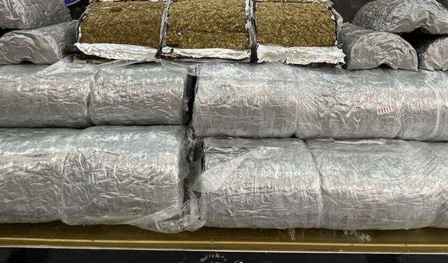Türkiye ile Suriye'nin ortak operasyonunda 236 kilogram marihuana ele geçirildi