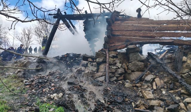 Yalnız yaşadığı evinde çıkan yangında hayatını kaybetti