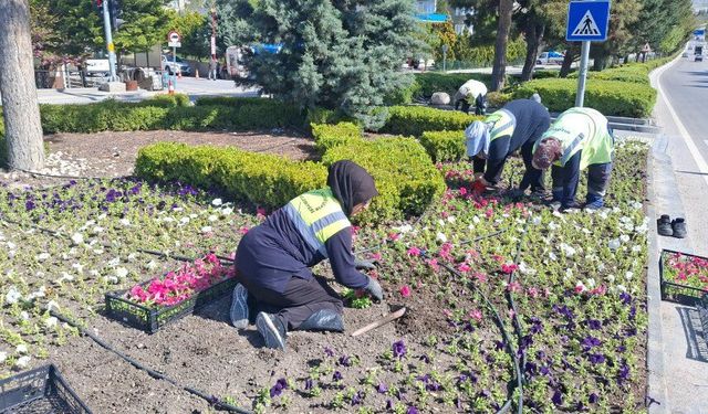 Beypazarı ilçesinde park ve refüjler çiçeklendirildi