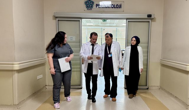 Profesör, doğumlarını gerçekleştirdiği iki doktor ve hemşireyle görev yapıyor