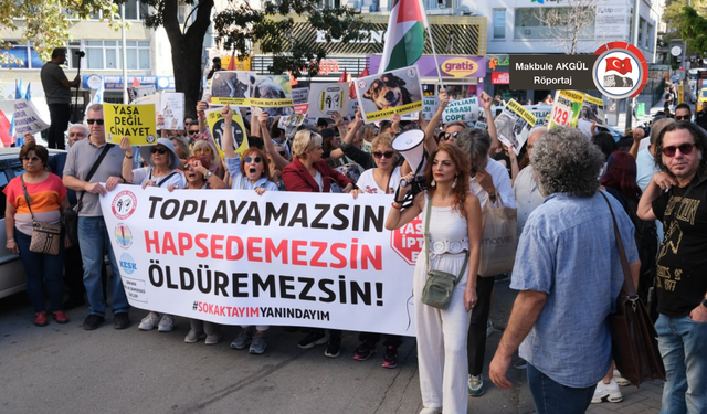 “Hayvanları Koruma Kanununda etkin bir yaptırım yok”