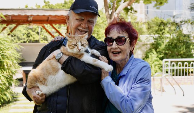 Papyonlu kedi 'Foça', emekli çiftin hayatını değiştirdi