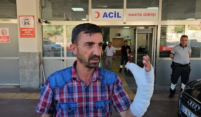 Şanlıurfa’da kurban kesimi sırasında 232 kişi yaralandı