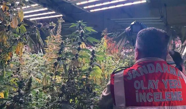 Jandarmanın 30 ildeki narkotik operasyonlarında yakalanan 122 şüpheli tutuklandı