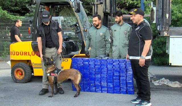 İstanbul'da durdurulan TIR'da 130 kilogram 'Eroin' ele geçirildi