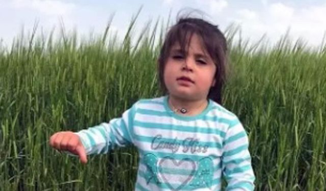 Leyla Aydemir davasında anne Şükran Aydemir dinlenecek
