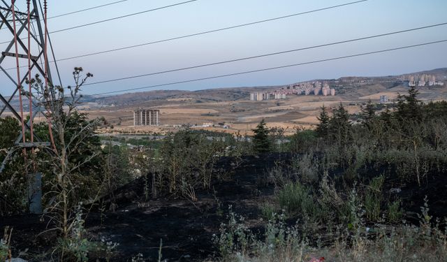 Ankara'da otluk alanda çıkan yangın söndürüldü