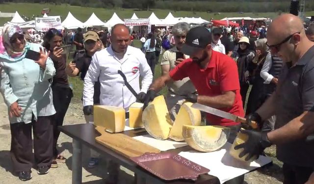 Ardahan'da 'Ulusal Kaşar ve Kültür Festivali'nin 25'incisi yapıldı